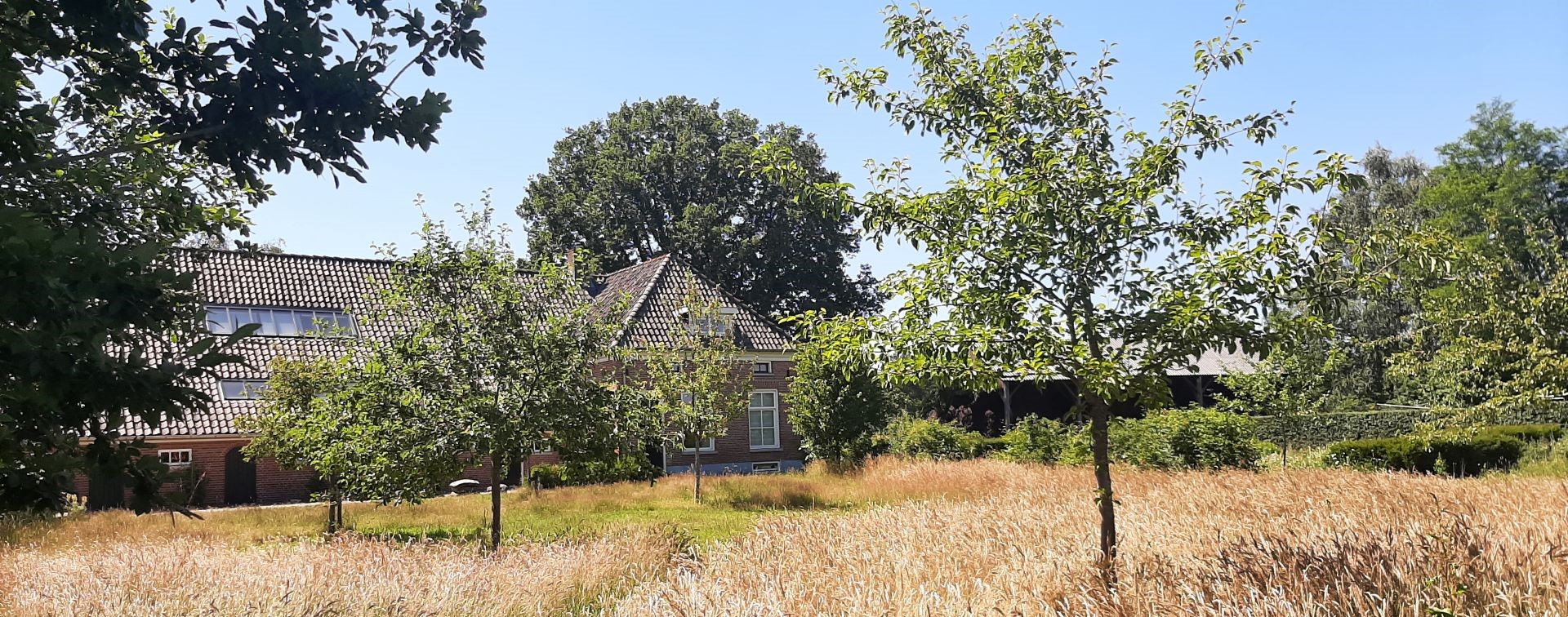 de Grote Bik juni 2022