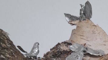 LO2 Zilverberk detail